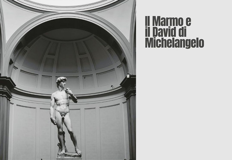 Il David di Michelangelo e il marmo